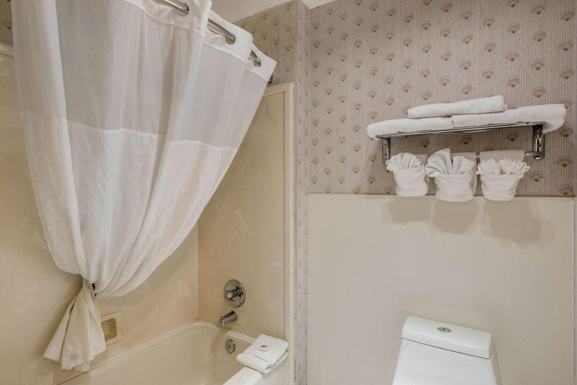 Comfort Inn Mount Shasta Area Weed Ngoại thất bức ảnh