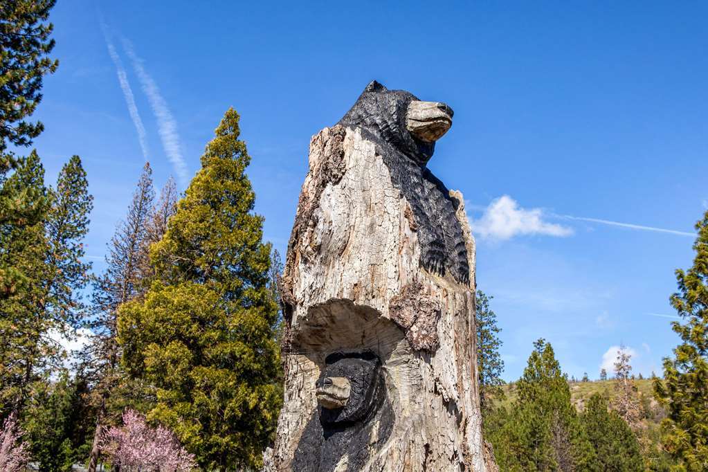 Comfort Inn Mount Shasta Area Weed Ngoại thất bức ảnh